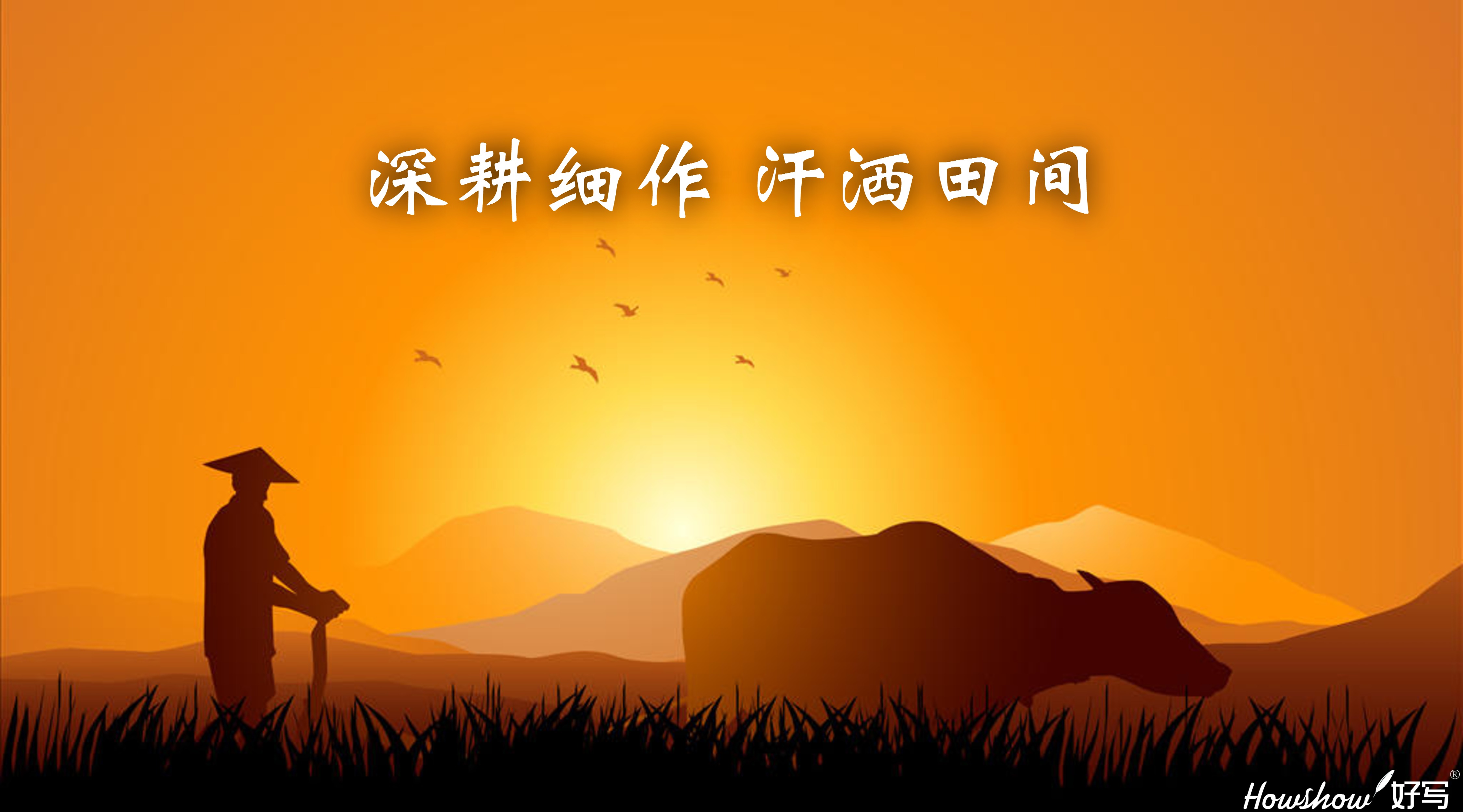 深耕細作·汗灑田間 ‖ 一場從內(nèi)到外的革新，正在好寫拉開帷幕！