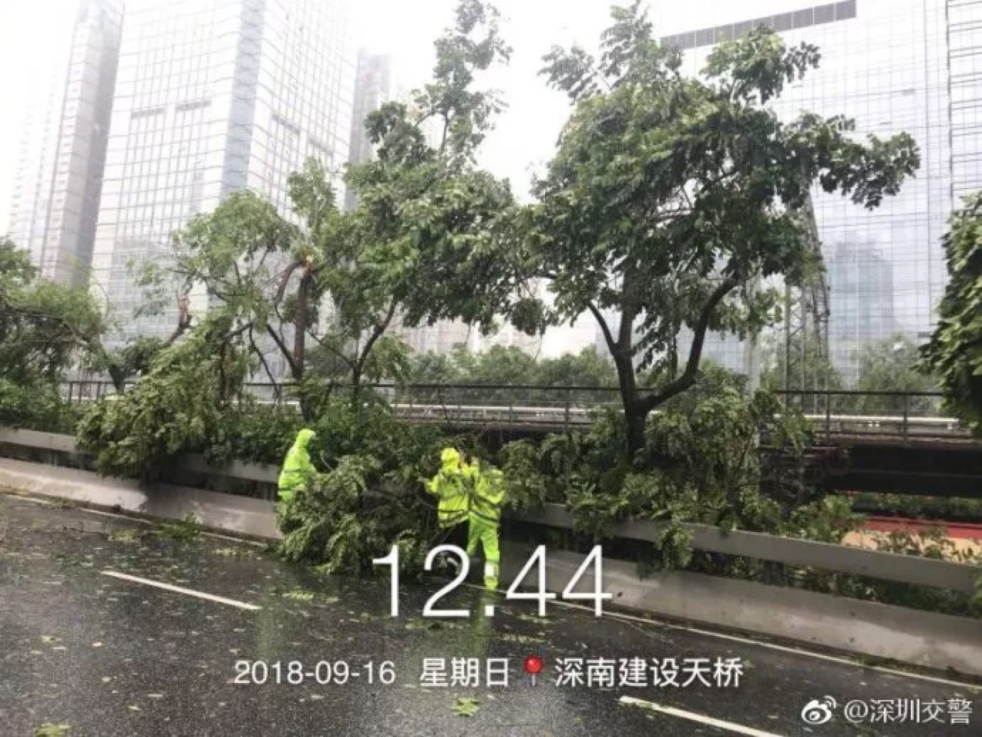 臺風(fēng)肆虐下的深圳人